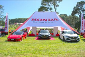 large double peak star marquee image