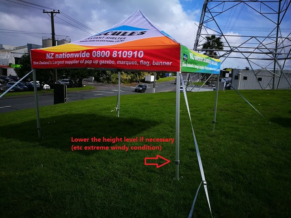 21731749_1545231178868812_8869915460385420888_o