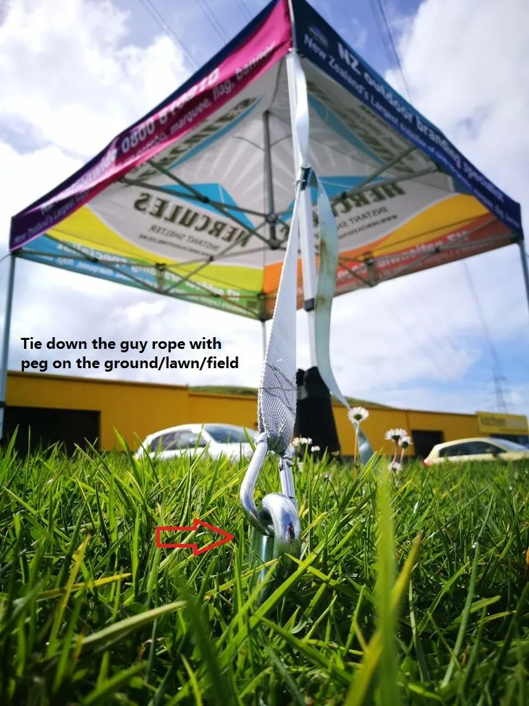 21743702_1545230925535504_1803536481186513377_o