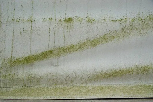 a canopy with mildew