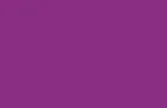 Purple Polyester Gazebo Colour