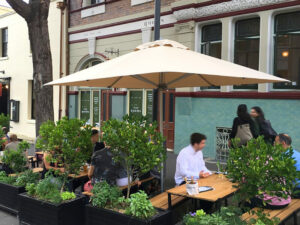 venus outdoor umbrella at auckland