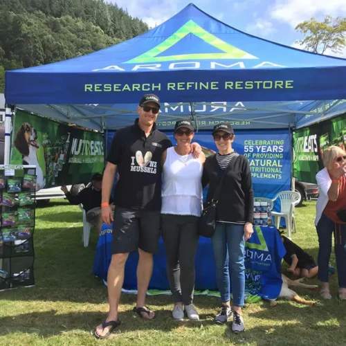 AROMA Company Commercial Gazebo in Blue