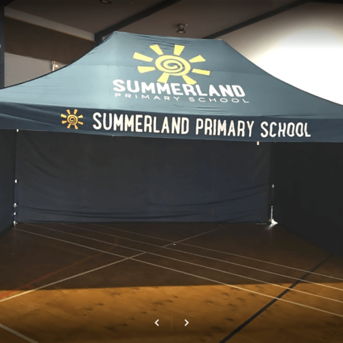 Sumerland primary school in custom green