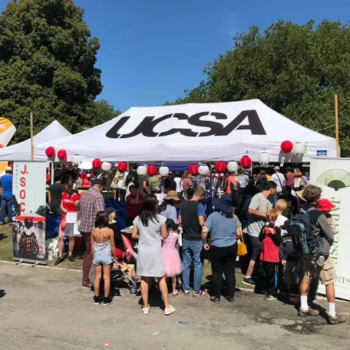 ucsa gazebo in white in the Japan day in christchurch