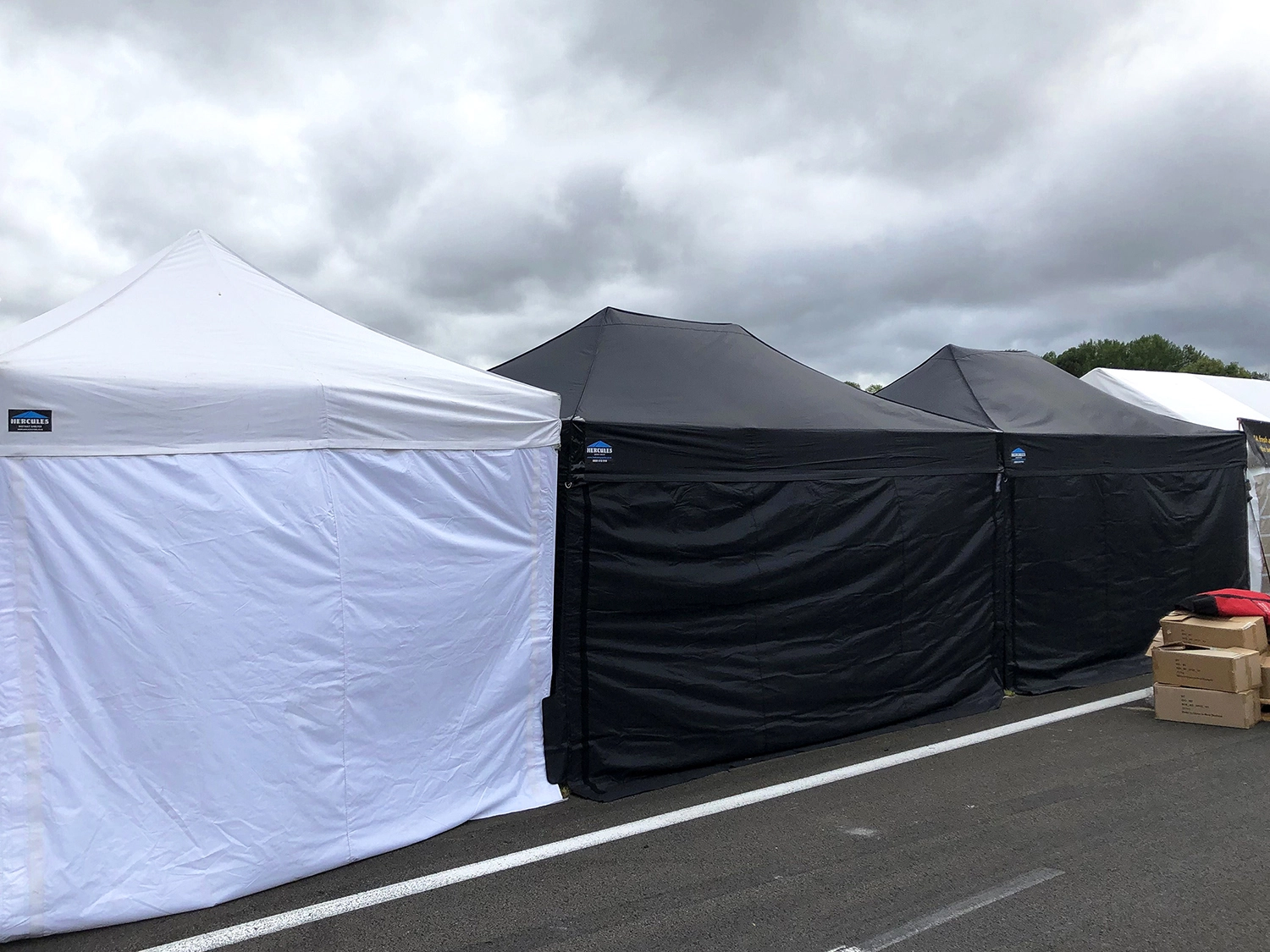 A line-up of gazebos at an outdoor event.